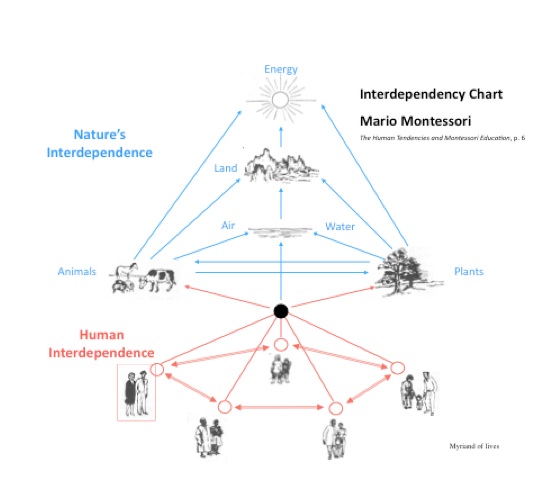Chart of Interdependence